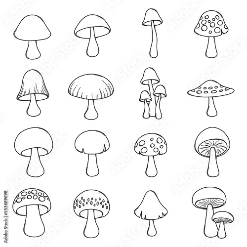 Mushroom Doodle vector icon set. Drawing sketch illustration hand drawn line eps10
