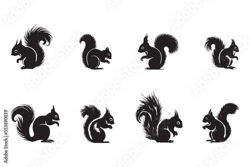 set of squirrels silhouette