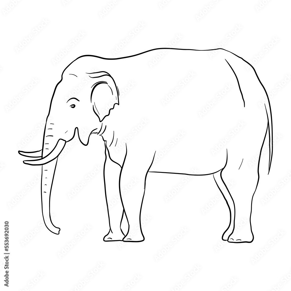 Obraz premium vector drawing sketch of animal, hand drawn elephant , isolated nature design element