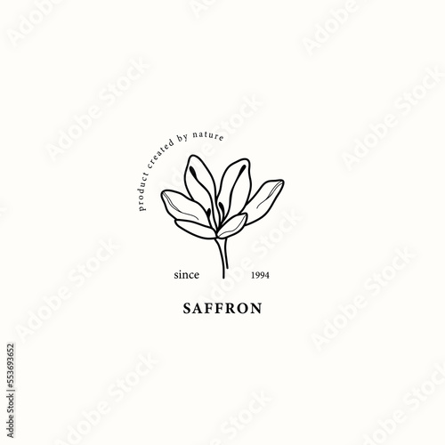 Line art saffron flower illustration photo