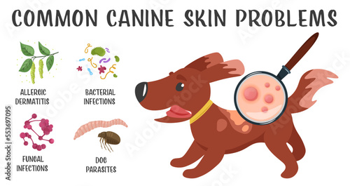 Dog skin problems. Horizontal illustration. Graphic design