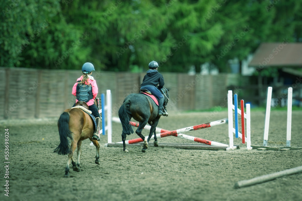 Pokonywanie granic, jeździec i skaczący koń na treningu przeszkodowym - obrazy, fototapety, plakaty 