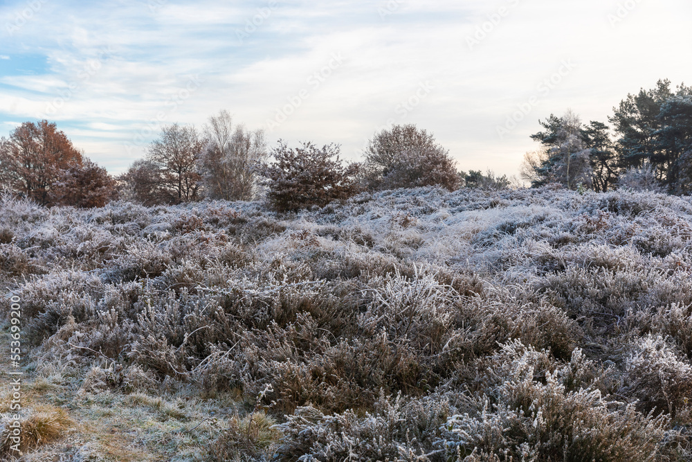 Winter in Gelderland 2022 Winter in Gelderland 2022