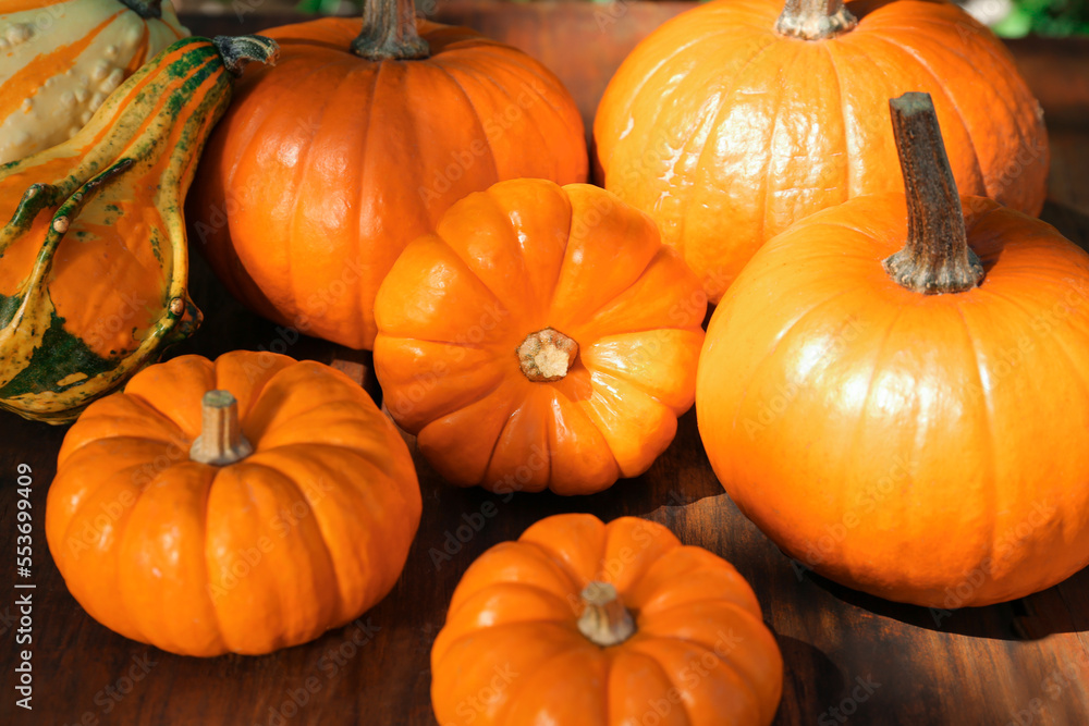 Many different ripe orange pumpkins on wooden table Many different ripe orange pumpkins on wooden table