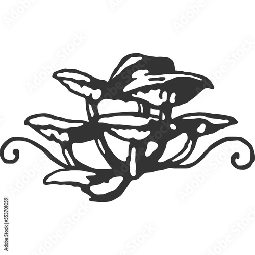 Magic Mushroom Vintage Illustration Vector