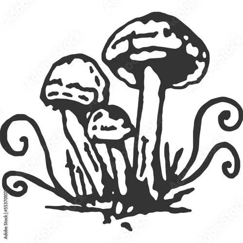 Magic Mushroom Vintage Illustration Vector