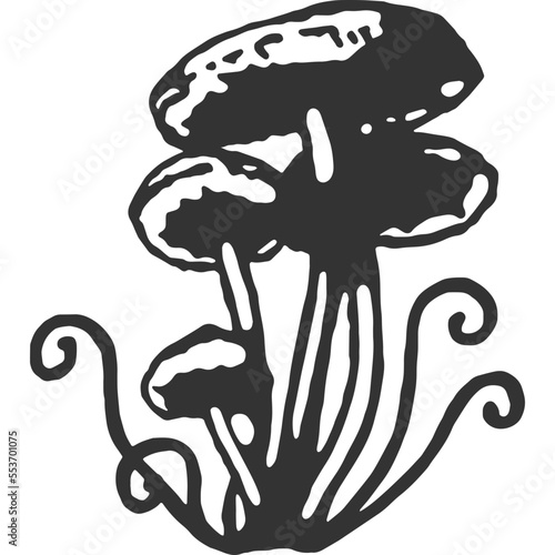 Magic Mushroom Vintage Illustration Vector