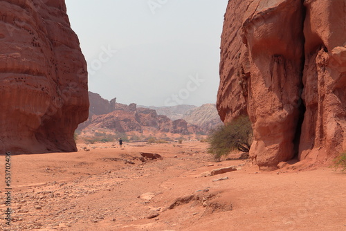 Reddish landscapes along highway 68, Salta, Argentina.