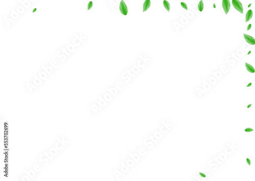 Greenish Foliage Background White Vector. Sheet Delicate Illustration. Figure Design. Light Green Structure Frame. Vegetation Element.