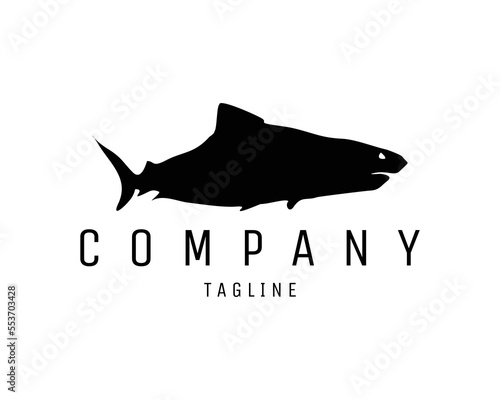 ferocious male shark logo silhouette isolated white background showing from side. Best for badge, emblem, icon, sticker design and for marine animal industry. vector illustration available in eps 10.