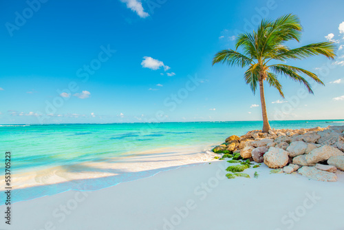 Playa Blanca, Punta Cana, Dominican Republic photo