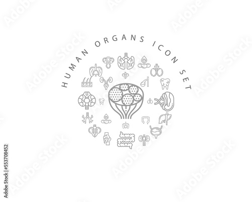 Vector muman organs icon set