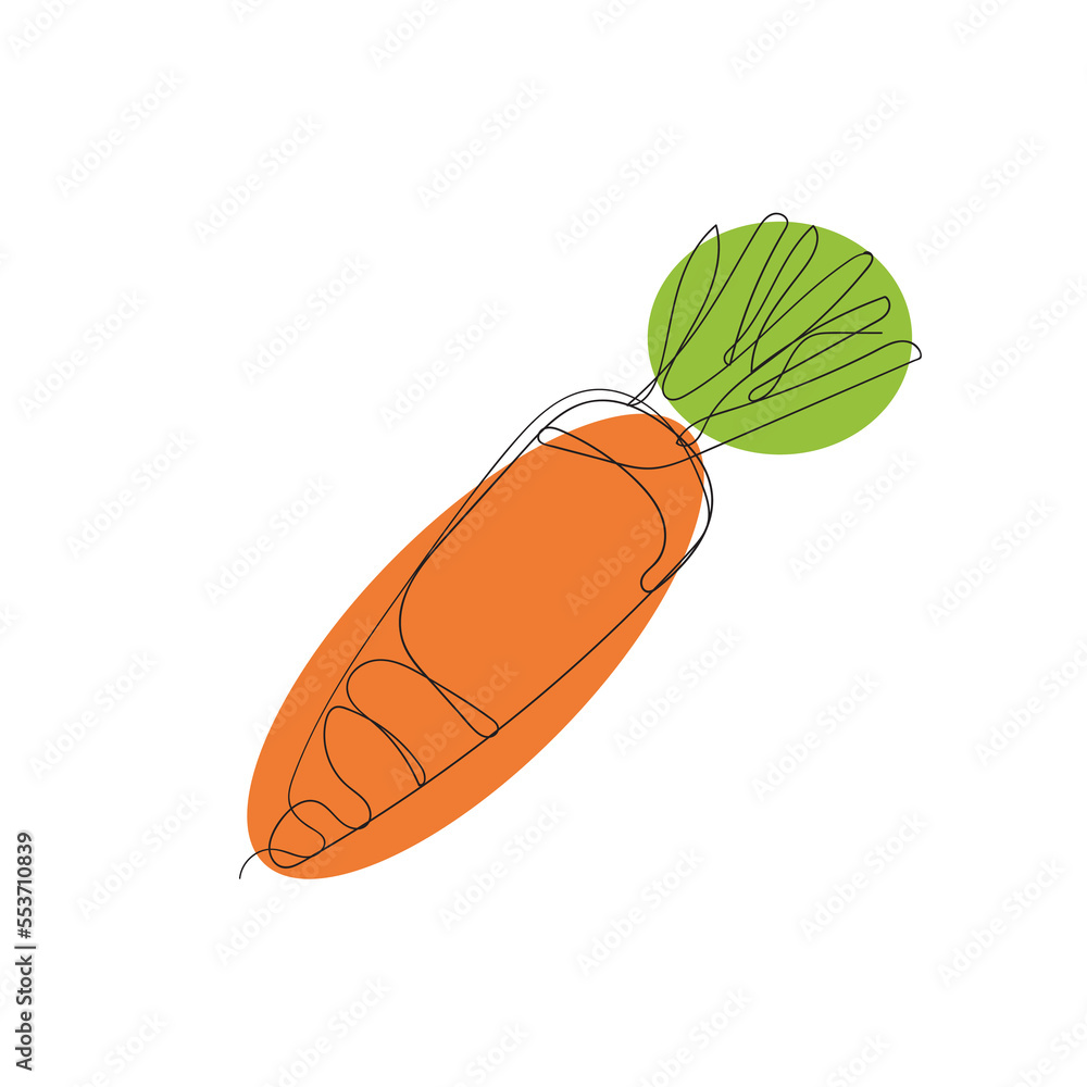 continuous line drawing vegetable carrots illustration vector continuous line drawing vegetable carrots illustration vector