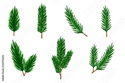 Vector twigs of Christmas tree, fir, spruce on a white background. Beautiful green twigs on a transparent background for decor, decoration, Christmas cards.