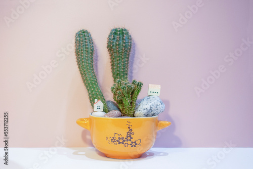 Charming cute home plant in a ceramic orange pot on the pink wall. Beautiful florarium in a flowerpot. Houseplant cactus.