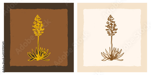 Agave americana sketch doodle illustration
