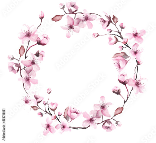 Wreath cherry blossom  frame pink sakura  watercolor flowers. Png illustration with transparent background.