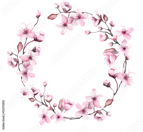 Wreath cherry blossom, frame pink sakura, watercolor flowers. Png illustration with transparent background.