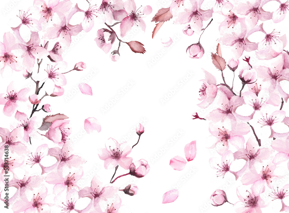 Obraz premium Wallpaper cherry blossom, website pink sakura, watercolor flowers. Png illustration with transparent background.