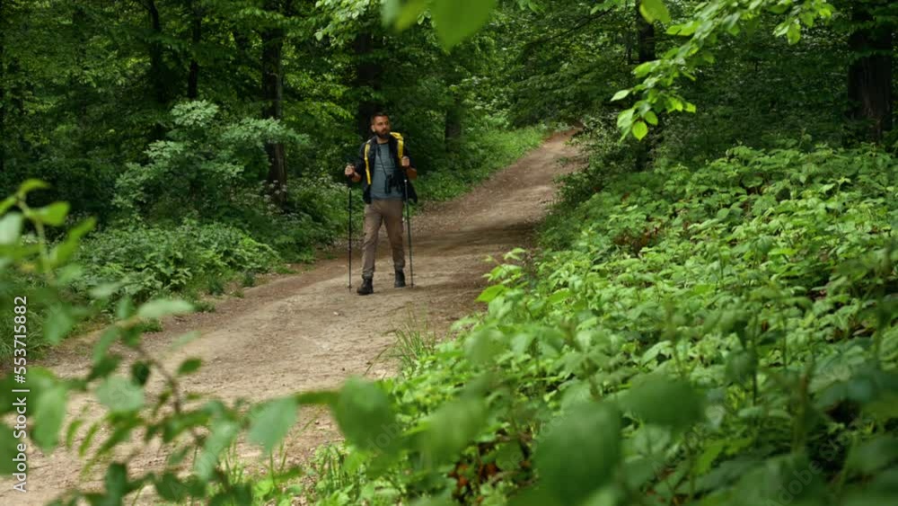 Hiker man walking in the forest while using trekking poles and binoculars
Hiker man walking in the forest while using trekking poles and binoculars