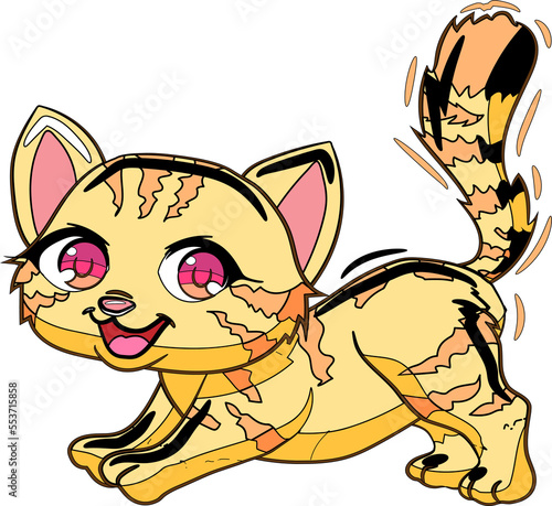 cartoon colorful cat set free vector