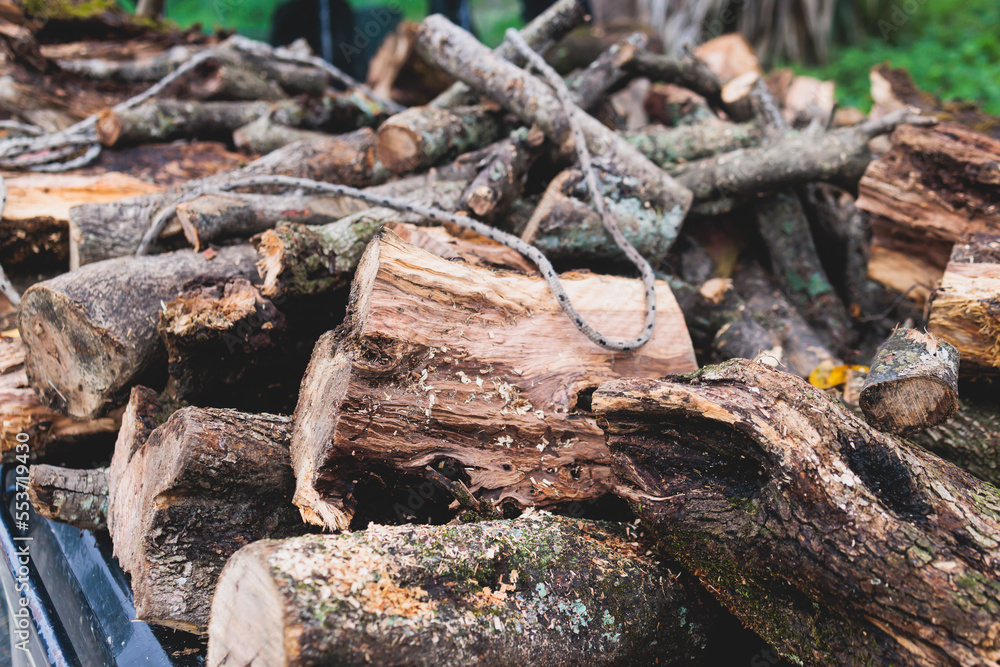 Pickup truck fully loaded with olive tree chopped firewood logs, preparing of woods for fireplace before the winter in Greece, Ionian see islands Pickup truck fully loaded with olive tree chopped firewood logs, preparing of woods for fireplace before the winter in Greece, Ionian see islands