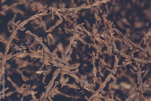 rusty barbed wire background texture