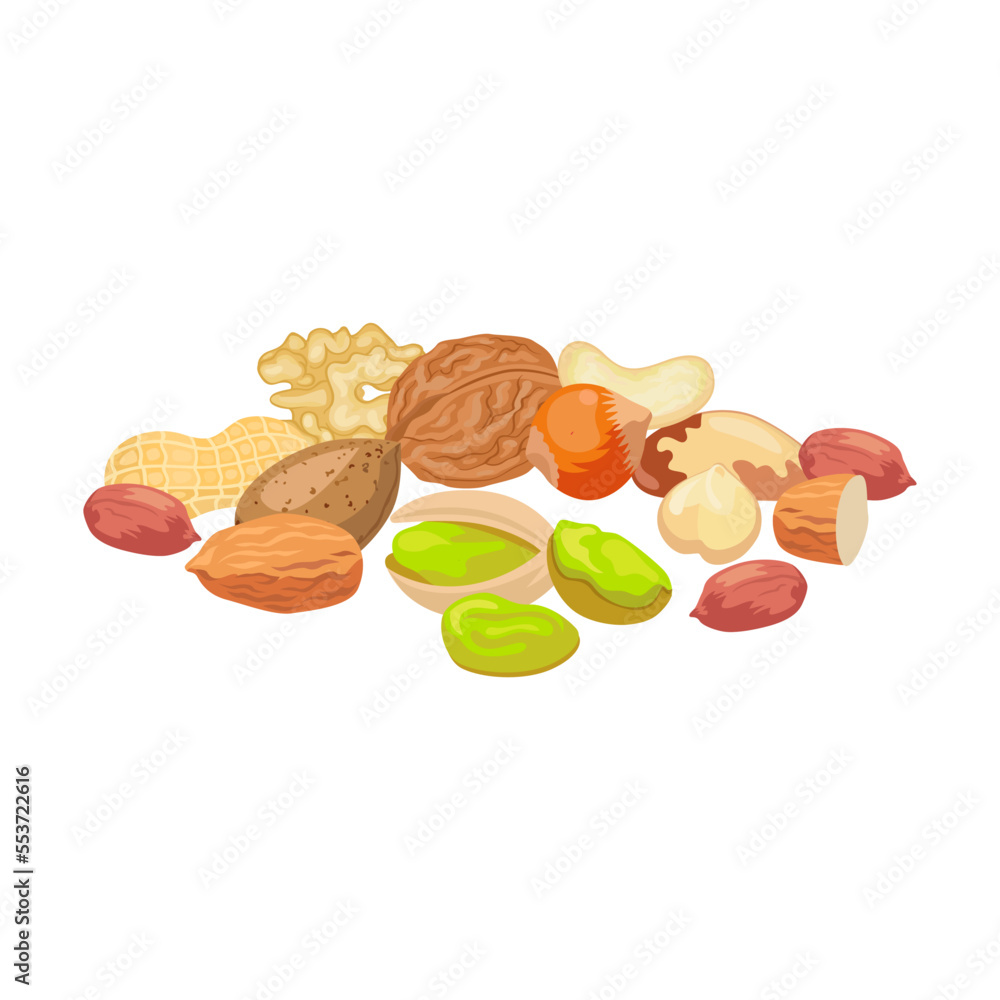 Healthy assorted hazelnuts, vector illustration. Plates and bowls with healthy food, fruit, vegetables isolated on white background