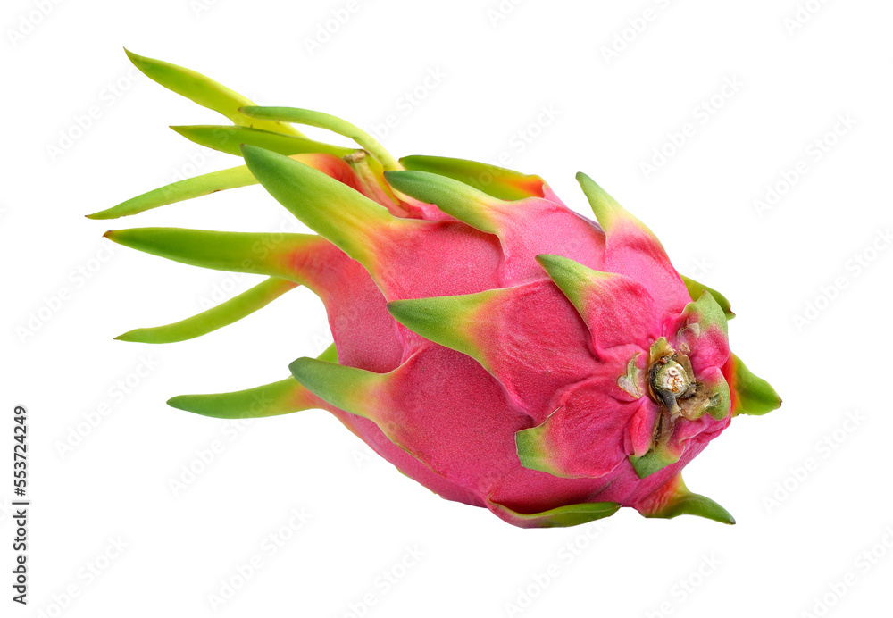 dragon fruit on transparent png dragon fruit on transparent png