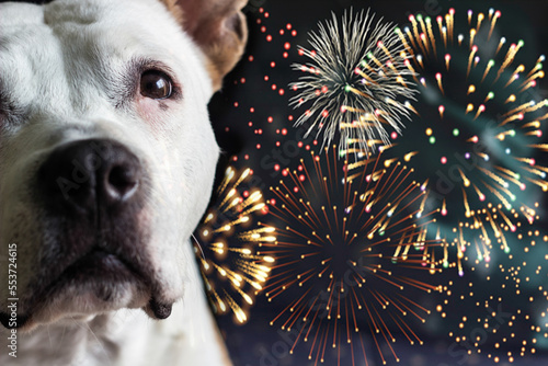 Please don't throw firecrackers I'm afraid