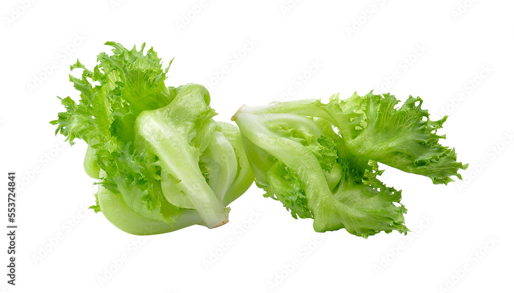lettuce isolated on transparent png lettuce isolated on transparent png