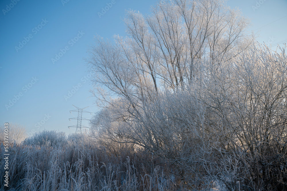 zimowy krajobraz, zimowe drzewa, zaszronione drzewa, winter landscape, winter trees, frosted trees zimowy krajobraz, zimowe drzewa, zaszronione drzewa, winter landscape, winter trees, frosted trees
