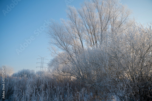 zimowy krajobraz, zimowe drzewa, zaszronione drzewa, winter landscape, winter trees, frosted trees 