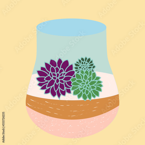 Terrarium with soil and succulent plants in it. Transparent glass and echeveria elegans plants inside. Flat vector illustration.