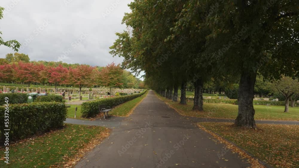 Road Through Kviberg Cemetery Gimbal Smooth Dolly Walk at Fall, Gothenburg, Sweden Road Through Kviberg Cemetery Gimbal Smooth Dolly Walk at Fall, Gothenburg, Sweden