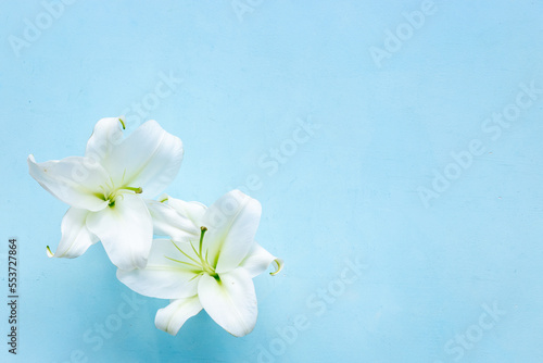 White liles flowers. Mourning or funeral background. Floral mock up