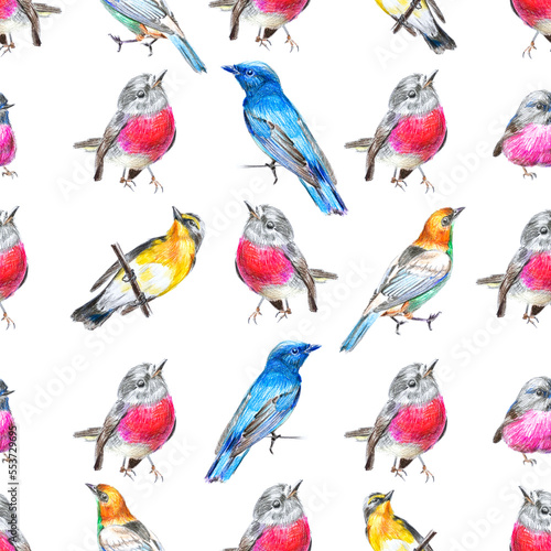 Seamless potter with drawings of multi-colored birds on the white background