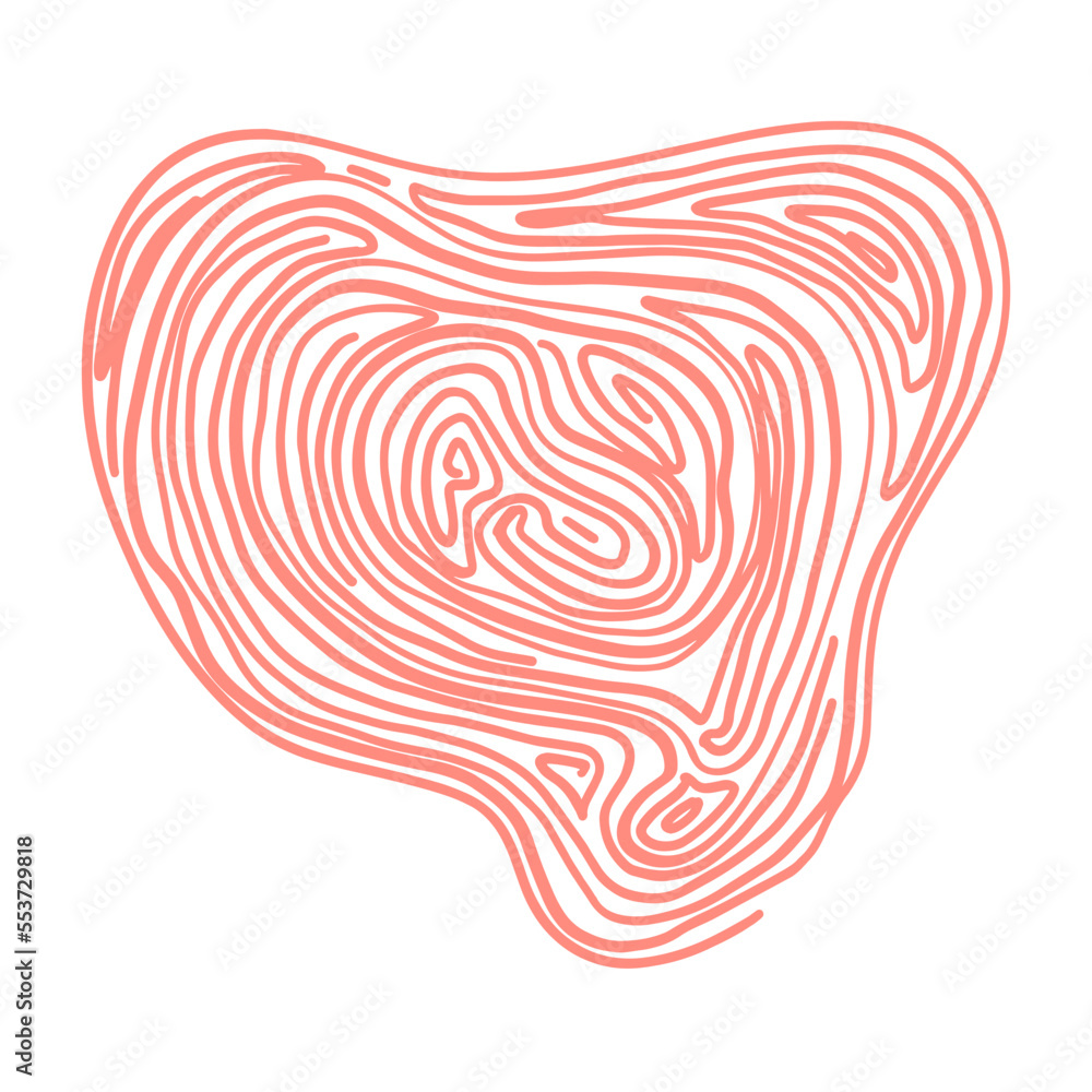 Fototapeta premium Hand drawn doodle graphic line elements