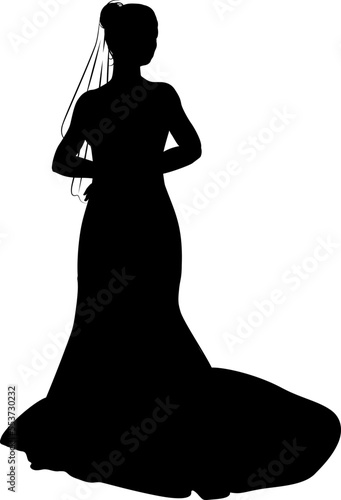 A woman bride in a bridal wedding dress in a silhouette