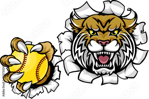 A wildcat or bobcat animal softball sports team cartoon mascot