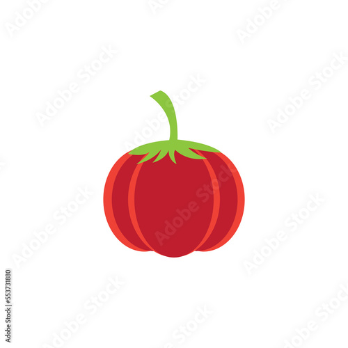 tomato icon vector illustration design