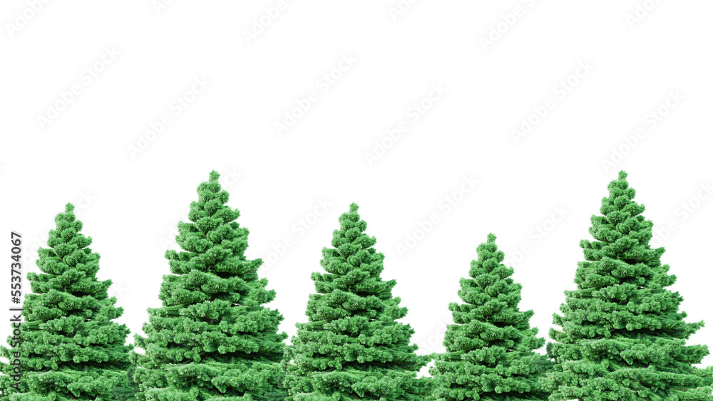 Christmas tree background on white isolated background and transparent PNG backgroun