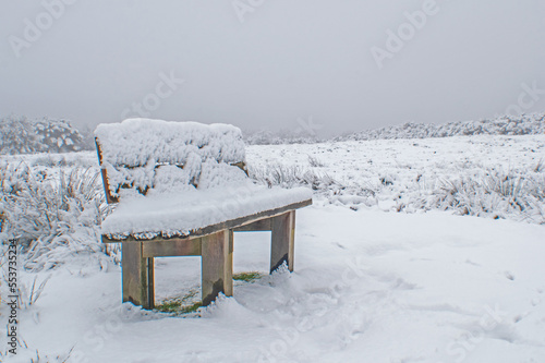 Wallpaper Mural A snow covered bench at Asdown Forest England on a snowy misty December day Torontodigital.ca