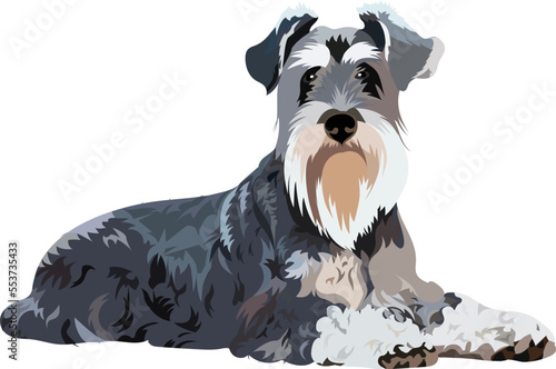 Miniature Schnauzer drawing. Cute dog character in a sitting pose, pop art-inspired design for printing. Cute cartoon flat detailed vector silver dog.  Pet portrait. Terrier dog on a white background.