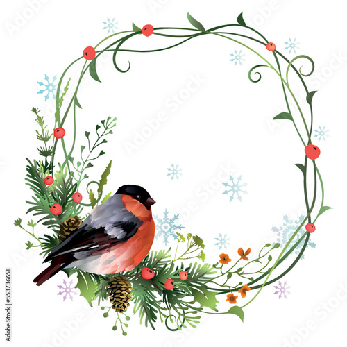 Christmas plant wreath or frame with bullfinch bird, spruce branches and red berries.