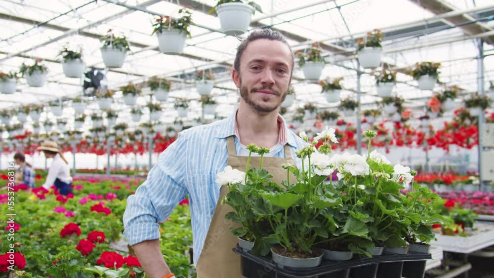Close-up portrait of happy caucasian man working in horticultural garden standing looking at camera smiling. Cute young male worker in garden holding plants. Agricultural sphere concept. Close-up portrait of happy caucasian man working in horticultural garden standing looking at camera smiling. Cute young male worker in garden holding plants. Agricultural sphere concept.