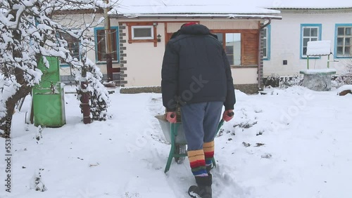 An aged man is carrying firewood on a wheelbarrow for heating the house