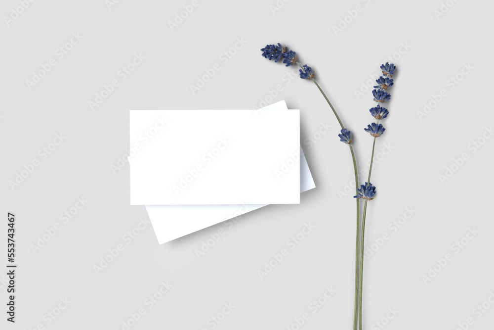 Mockup one cutaway, discount, business card on a grey minimalism background and lavender flowers with copy space. Template for design Mockup one cutaway, discount, business card on a grey minimalism background and lavender flowers with copy space. Template for design