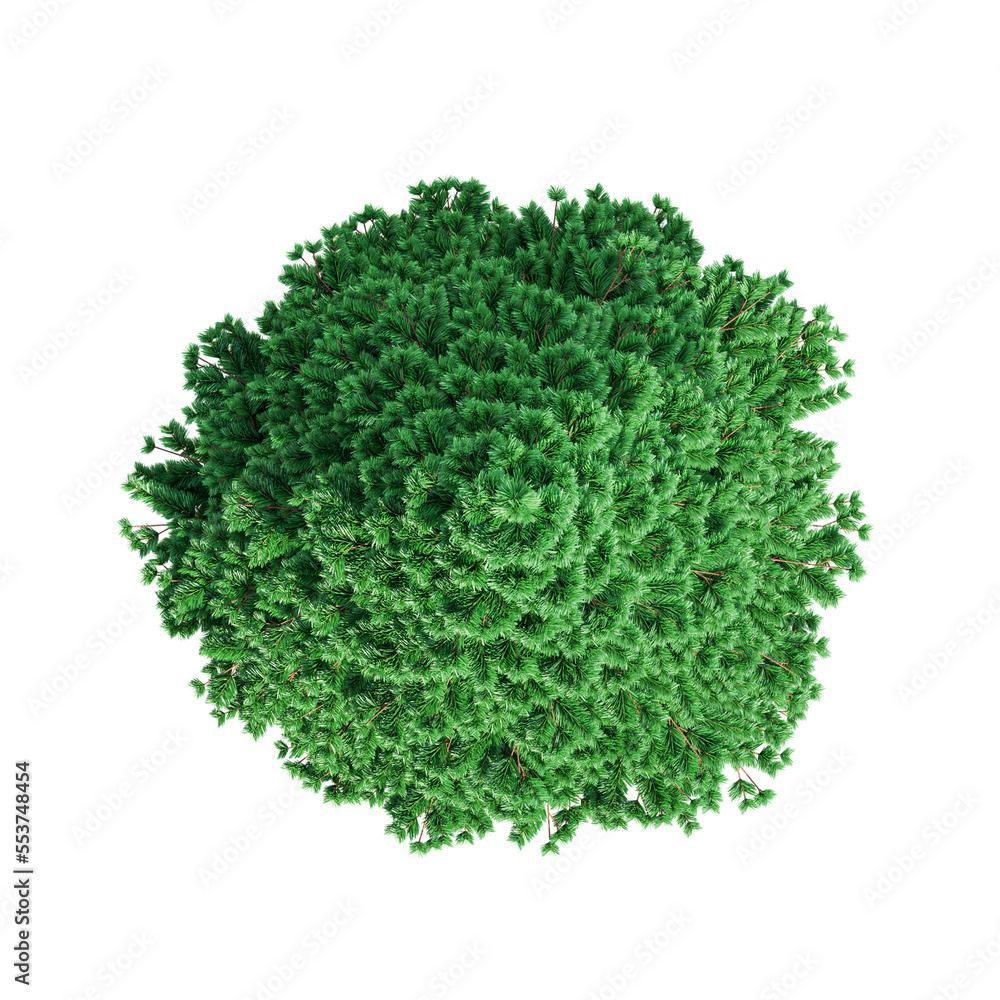 Obraz premium top view of Christmas tree isolated on white background, PNG transparent background
