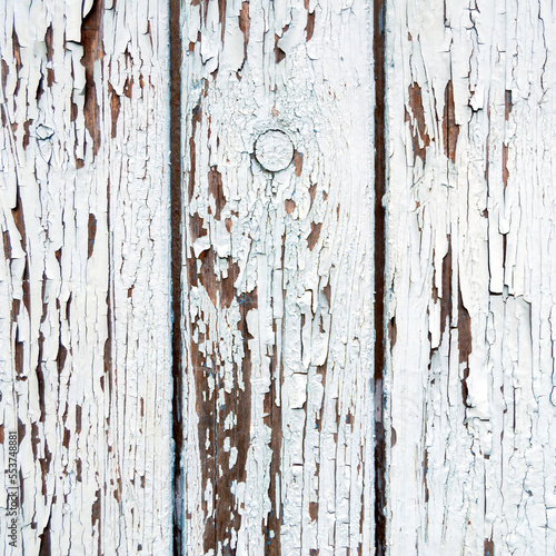 texture of old wood. white paint has come off. Square image.